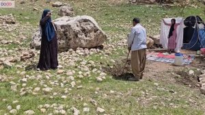 The first wife's attempt to get her husband back from the second wife