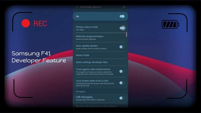 Samsung F41 Developer Options Hidden Setting Tips And Tricks смотреть онлайн
