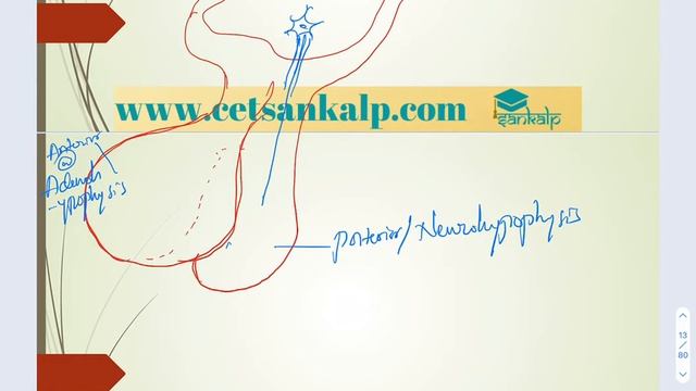 CHEMICAL COORDINATION AND INTEGRATION | | SANKALP | CLASS 1| BIOLOGY| смотреть онлайн