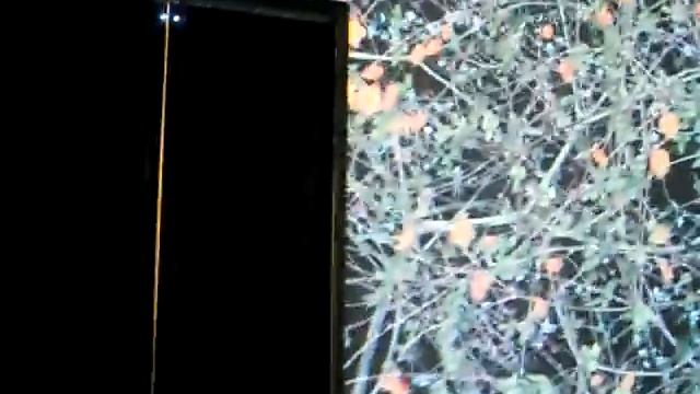 Jennifer Steinkamp Madame Curie Light Projection Pattern Installation Museum Of Contemporary Art