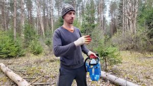 Заготовка дров // Самый дешевый способ // 10 кубов меньше 1 рубля // Семья Лях