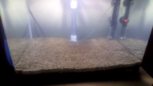 Dennerle Scaper Tank with Under Gravel Filter смотреть онлайн
