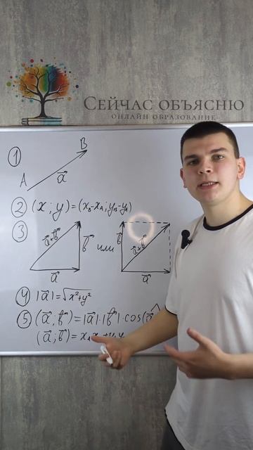 почти ВСЕ о ВЕКТОРАХ НА ЕГЭ‼️#егэ #математика #егэ2023 #егэ2024 #егэматематикапрофиль #математика смотреть онлайн