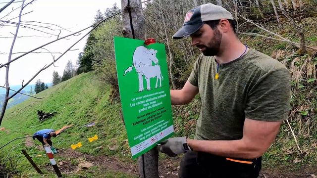 What is an Alp? (Farming The Alps #5) смотреть онлайн
