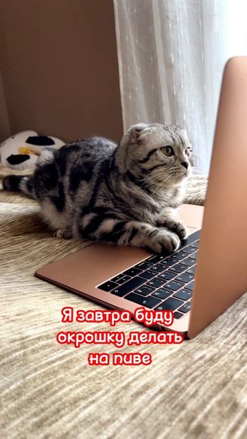 Окрошка на пиве смотреть онлайн