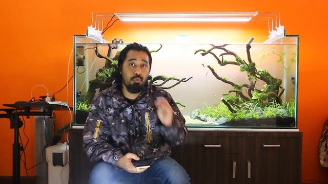 Aquascaping for Beginners - Part II | Nepal Fish Keepers смотреть онлайн