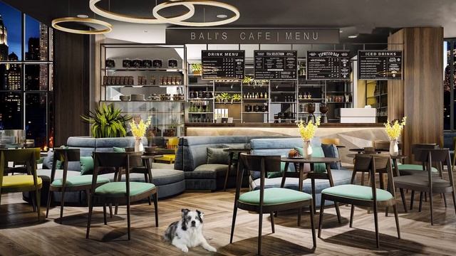 Bossa Nova Jazz Music In NYC Coffee Shop - Relaxing Smooth Jazz for Sleep, Study, Focus, Work смотреть онлайн