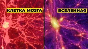 У Вселенной Есть Сознание? Вы Не Поверите Что Выяснили Учёные!