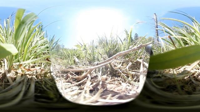 360 FPV drone flight Denmark смотреть онлайн