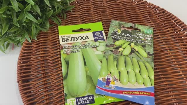 Семена Минусинских помидор и кабачков. смотреть онлайн