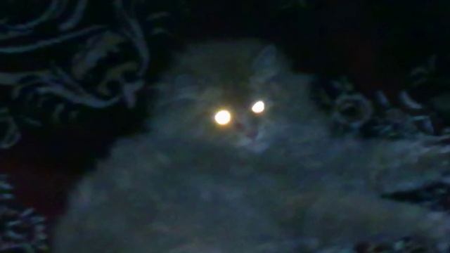 Лори смотреть онлайн