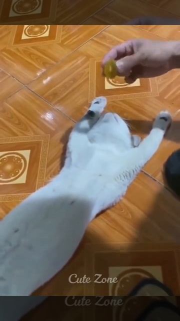 я ржал до слез|Русские Приколи|Смех до слез| 2022 смотреть онлайн