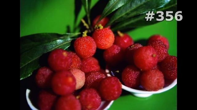 #356. Фрукты и овощи (Еда и напитки) смотреть онлайн