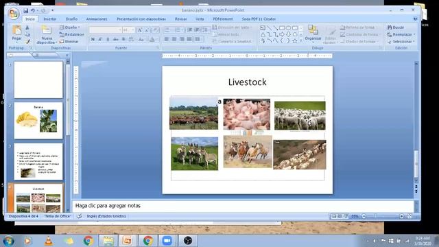 9th EGB, Science, introduction of species for cultivation смотреть онлайн