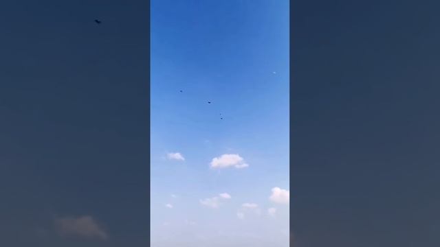 Иранские бойные голуби смотреть онлайн