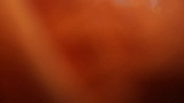 Чинтамани Дхам 07.08.2016 - 24 смотреть онлайн