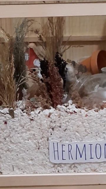 You've been spotted little one 👀 смотреть онлайн