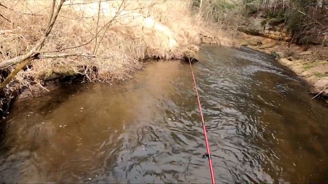 Trout Fishing a NEW SPOT with Go Midwest Fishing