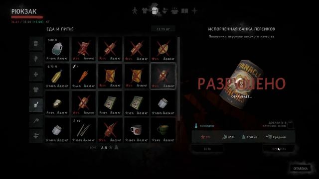 The Long Dark. 5000 дней спустя. #10 смотреть онлайн