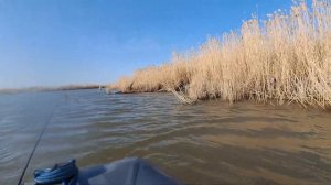 Верхний Балыклей. По заливам Волгоградского водохранилища. 20-21.04.24. #fishing ,#рыбалка , #лодка