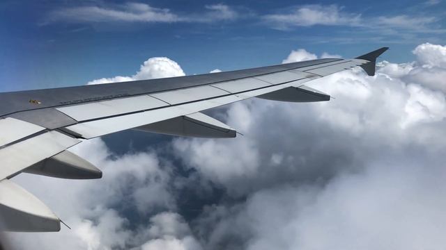 Afternoon Charlotte Takeoff – American Airlines – Airbus A320-200 – CLT – N126UW – SCS Ep. 163 смотреть онлайн