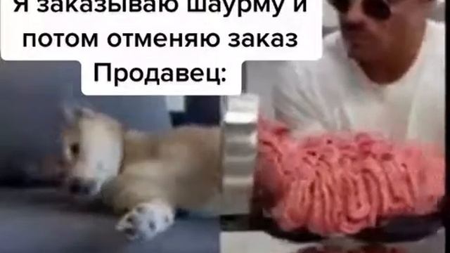 #shorts #мем Готовка шаурмы смотреть онлайн