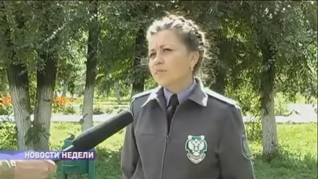 УФС Россельхознадзора по Забайкальскому краю и Амурской области смотреть онлайн