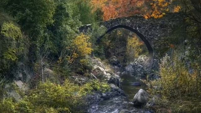 Природа на 42 секунды смотреть онлайн