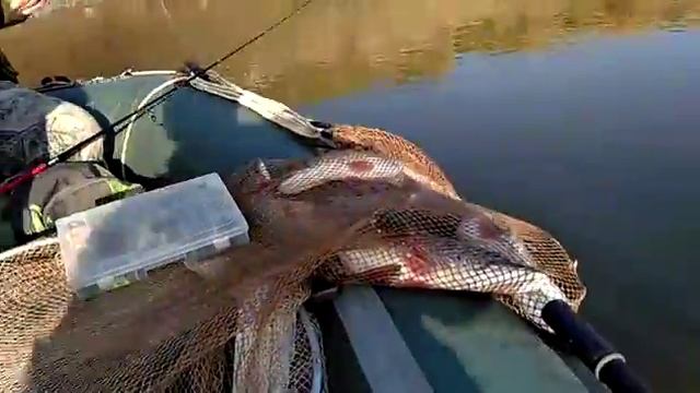 С лодки СВ Аквилон всегда удачная рыбалка смотреть онлайн