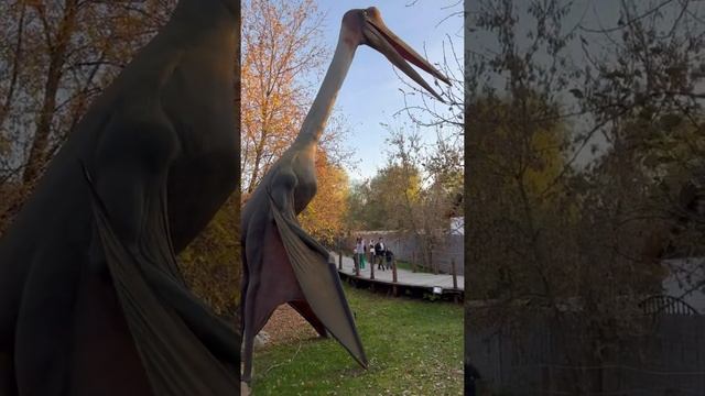 Глеб в «Сказке» у динозавров. Осень смотреть онлайн