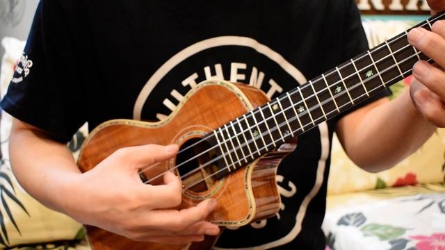 NEW/Big Island KSX-CTG CONCERT @ukuleleshoptantan смотреть онлайн