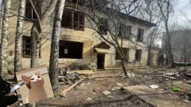 Максвелл кот. 2 сезон. 1 серия смотреть онлайн