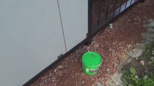 Лучшая краска для плит ОСП (OSB)