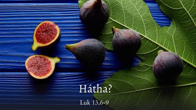 A terméketlen fügefa: Luk 13,6-9 смотреть онлайн