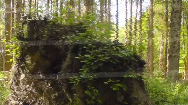 Springwatch 2023 Episode 3 смотреть онлайн