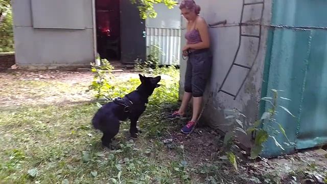 Сын Пирата смотреть онлайн