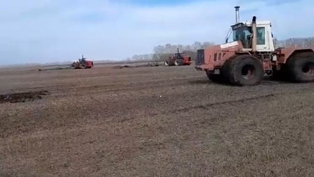 К 744 влип, сезон 2024. смотреть онлайн