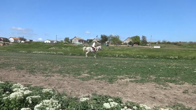 Чайка, 25 мая смотреть онлайн