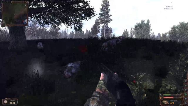 Зачистка местности от пси-собак