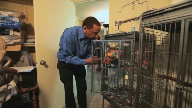 Birdman of Vancouver Washington смотреть онлайн