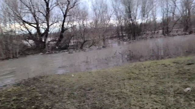 Воскресенье 7 апреля Орск площадь Гагарина смотреть онлайн