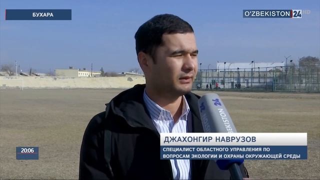 Критический материал. Состояние стадиона в Бухаре смотреть онлайн