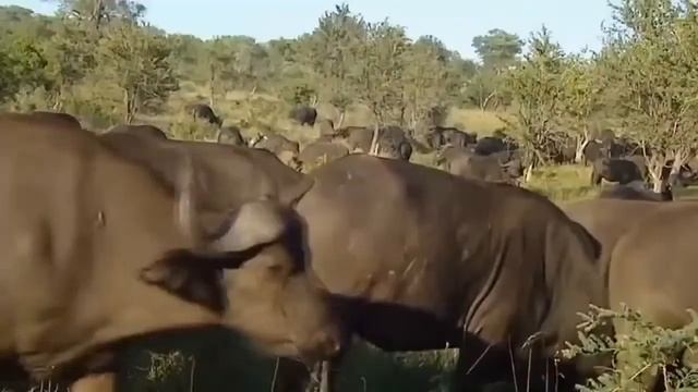 В ТЕЛЕ УБИЙЦЫ ФИЛЬМ 2023 СМОТРЕТЬ ОНЛАЙН В ХОРОШЕМ КАЧЕСТВЕ ПОЛНОСТЬЮ