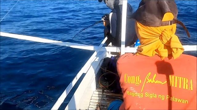 Ruby Snapper 9.4Kgs Caught in Puerto Princesa City Palawan Phillipines смотреть онлайн