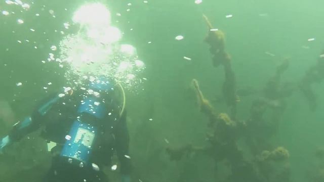 First open water смотреть онлайн