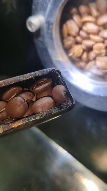 jasper coffee roastery смотреть онлайн