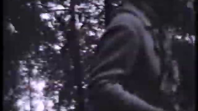 Посвящается моим родителям смотреть онлайн
