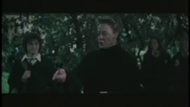 Ferret Scene смотреть онлайн