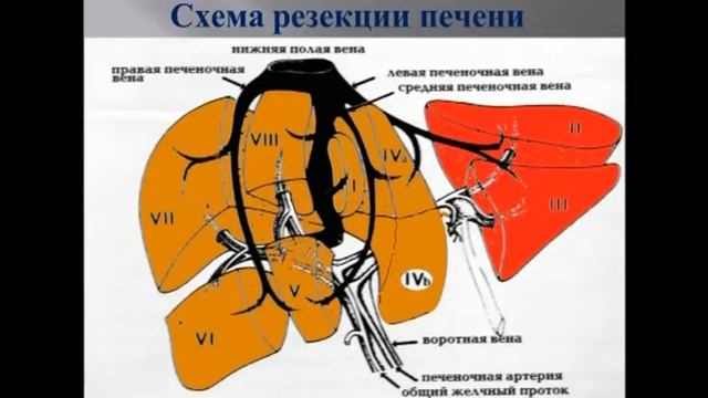 Алматыда тұңғыш рет екі баланың бауыры ауыстырылды (11.04.16)