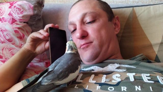 Корелла Гошка гладится и борется со злобным пальцем смотреть онлайн